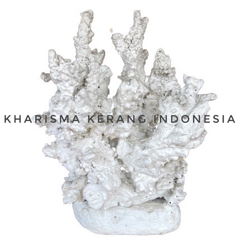 Batu Karang Laut Big Batu Karang Aquarium Batu Karang Aquascape