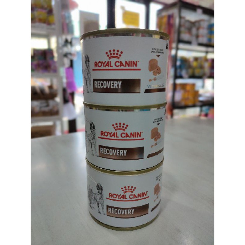 royal canin recovery