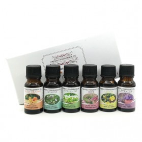 Essential Oil Aromatherapy Aromaterapi Difusser Diffuser 6 in 1 10ml