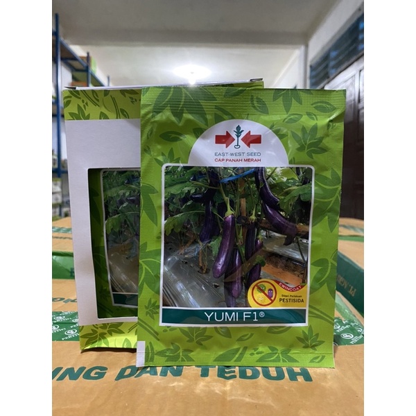 BENIH TERONG YUMI F1 1100S