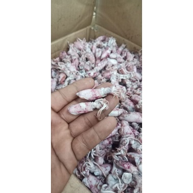 

Cumi asin baby 1dus/cumi asin rebus murah