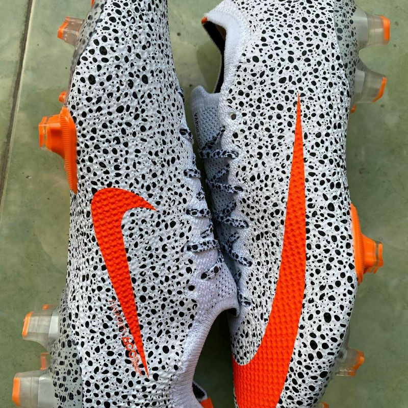 safari vapor 13