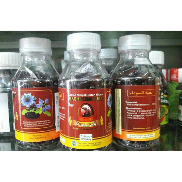 

MINYAK HABBATUSSAUDA KUDA ARAB 210KAP