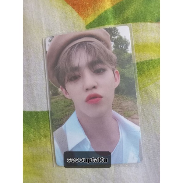 (BOOKED) PC Scoups Seventeen An Ode Beret