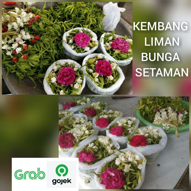 kembang liman kembang lima macam bunga setaman