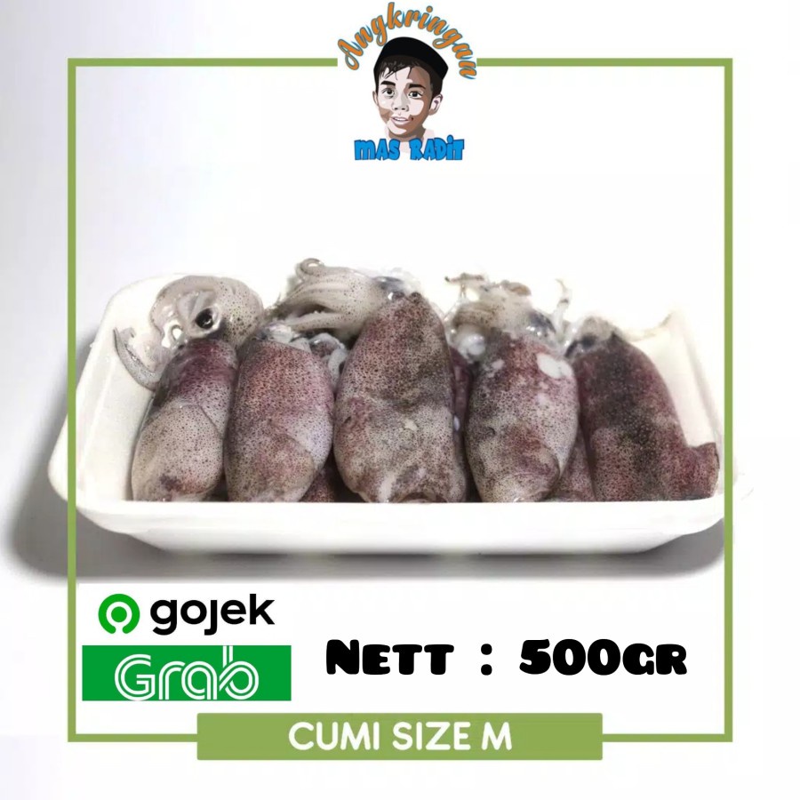

Cumi segar 500gr