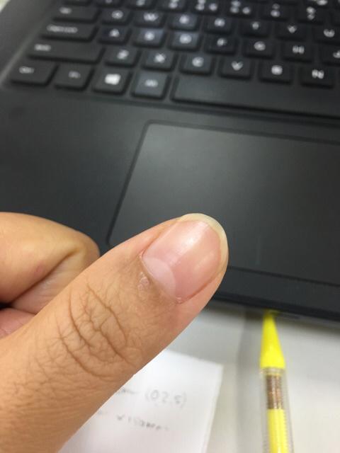 Rail Holder King Jim 502ga-10 /cover Clip Plastik Jilid / Pipe Jilid / Alat Jilid Ukuran A4