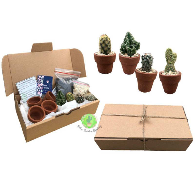 Paket Gift 25rb Baby Cactus Tiny Pot Terracota Planting Kits