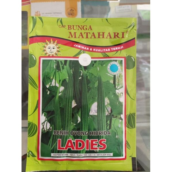 Benih Gambas / Oyong Hibrida Ladies 10gr
