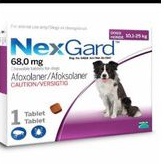 Obat Kutu Anjing NexGard Medium 1Tablet(10-25kg) Demodex Scabies