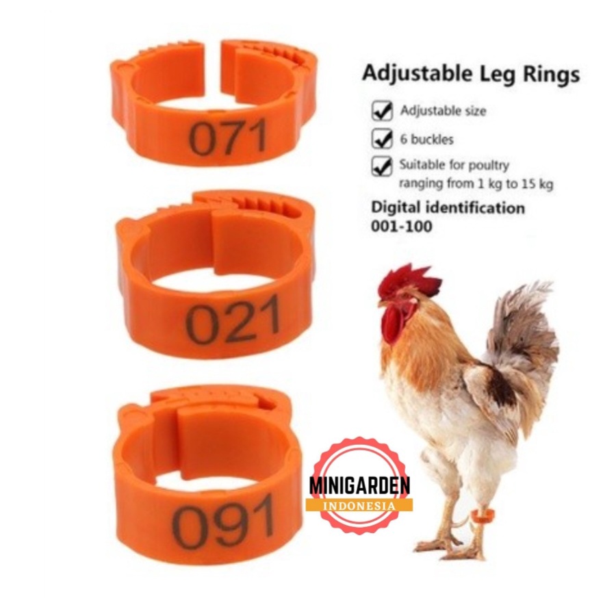 GELANG KAKI AYAM BEBEK ADJUSTABLE 2.4cm ring clip cincin kaki unggas