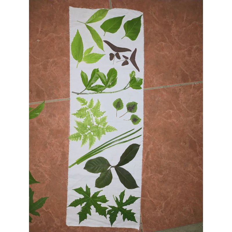 

PAKET DAUN SPECIAL ECOPRINT