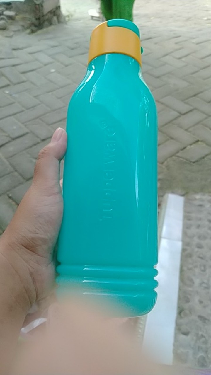 Eco Bottle Triangle & Fancy Satuan (1 Pcs) Botol Minum Tuppwr