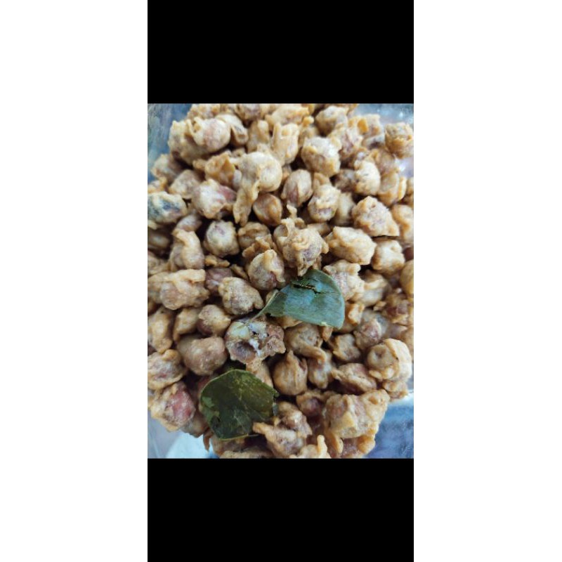 

kacang arab