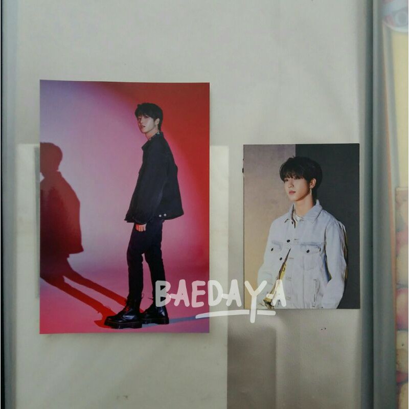 Yellow Wood POB + Postcard