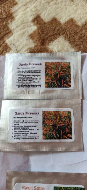 Benih Bayam Merah, Jual Benih Bayam Merah Murah Enak Dimakan