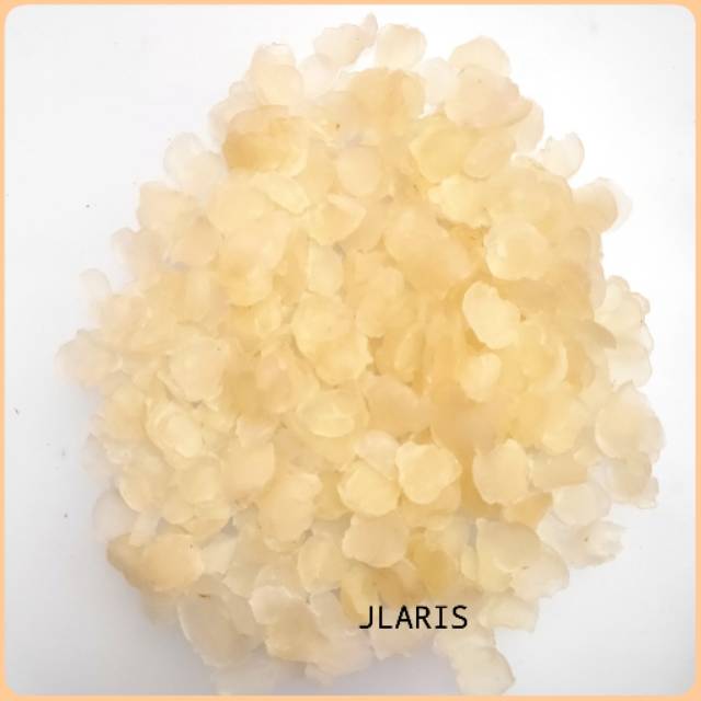 

Snow Lotus Seed / Xue Lian Zi / Biji Teratai Salju Grade A 100g