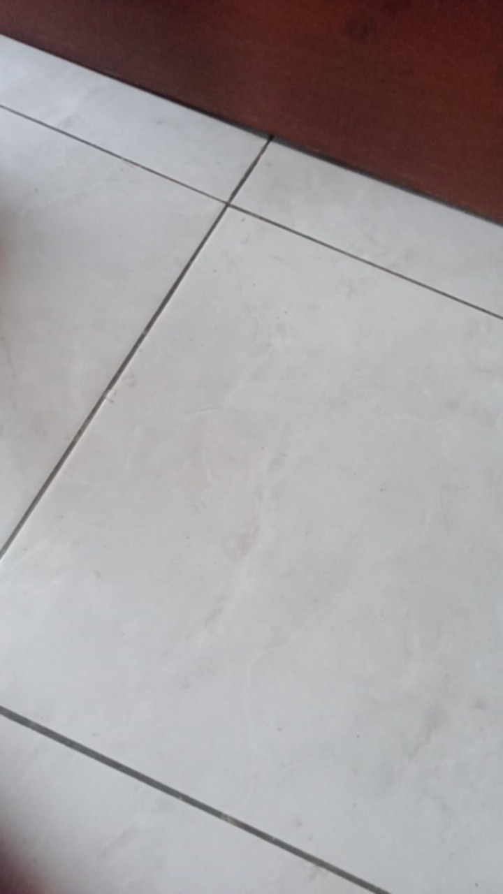 Teko Siul Ceret Siul Maspion Teko Bunyi Rigoleto 2,5/3/3,5 Liter Stylish