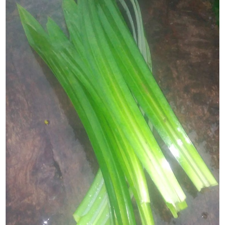 

Daun Pandan segar 10 - 15 lembar / 100 gr