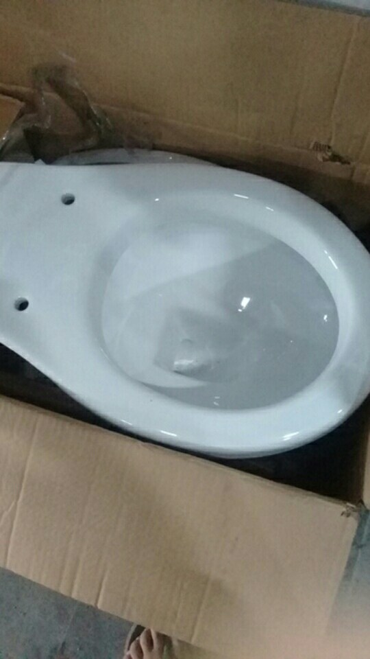 Closet Duduk Import Jarak As 25 Cm Dual Flush