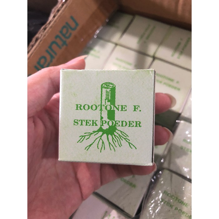 Rootone F Stek Powder