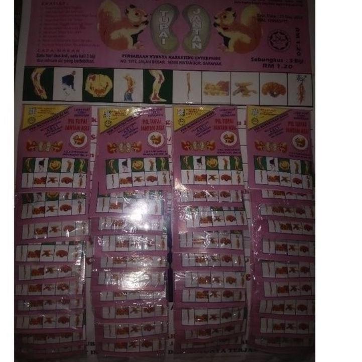 

[PRODUK DDDJD] pil Tupai jantan asli KMZ