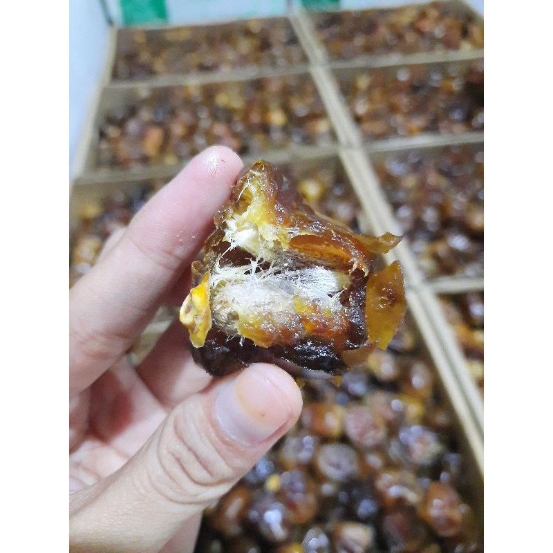 

kurma sukkari premium