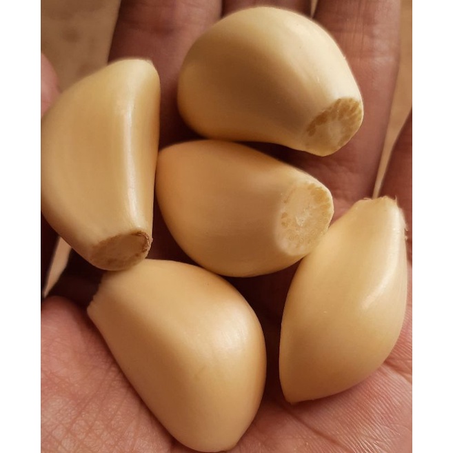 

REALPICT BAWANG PUTIH KUPAS BERSIH 1kg
