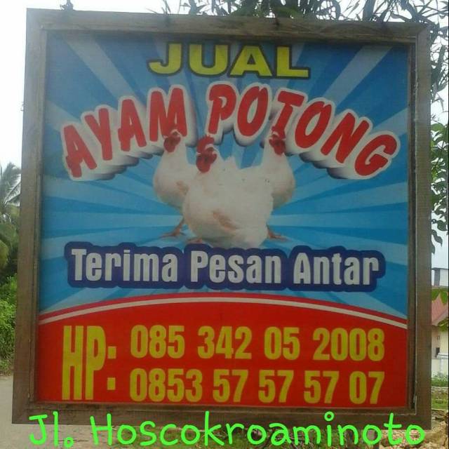 

Ayam Potong