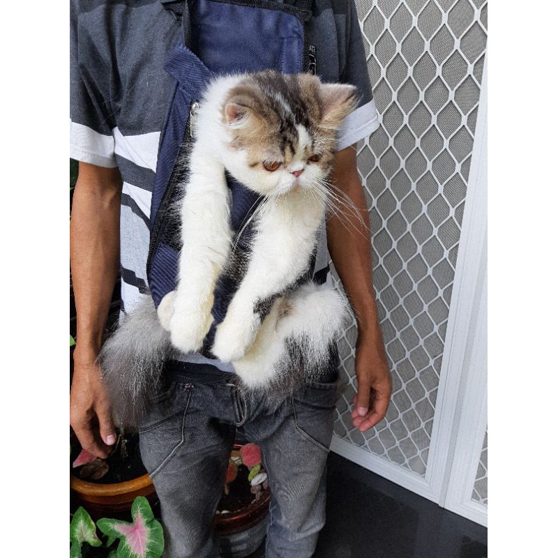 Gendongan Kucing Gendongan Anjing Gendongan Kelinci