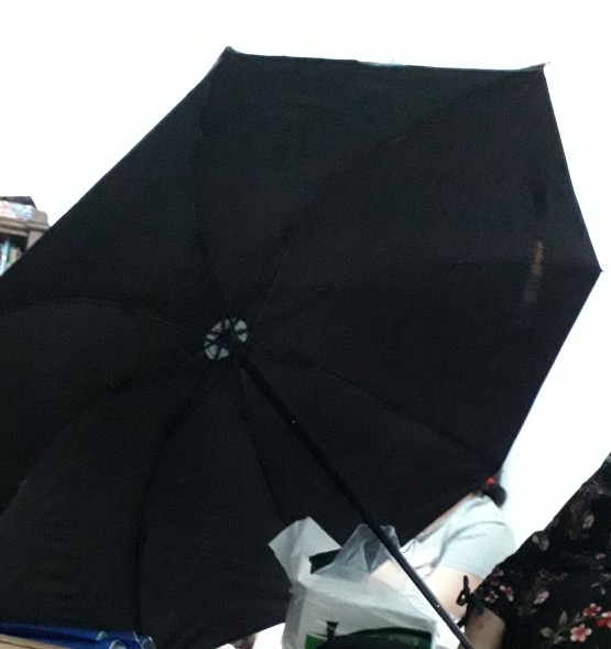 Payung Lipat Motif Totoro Lucu Nagoya Nf414