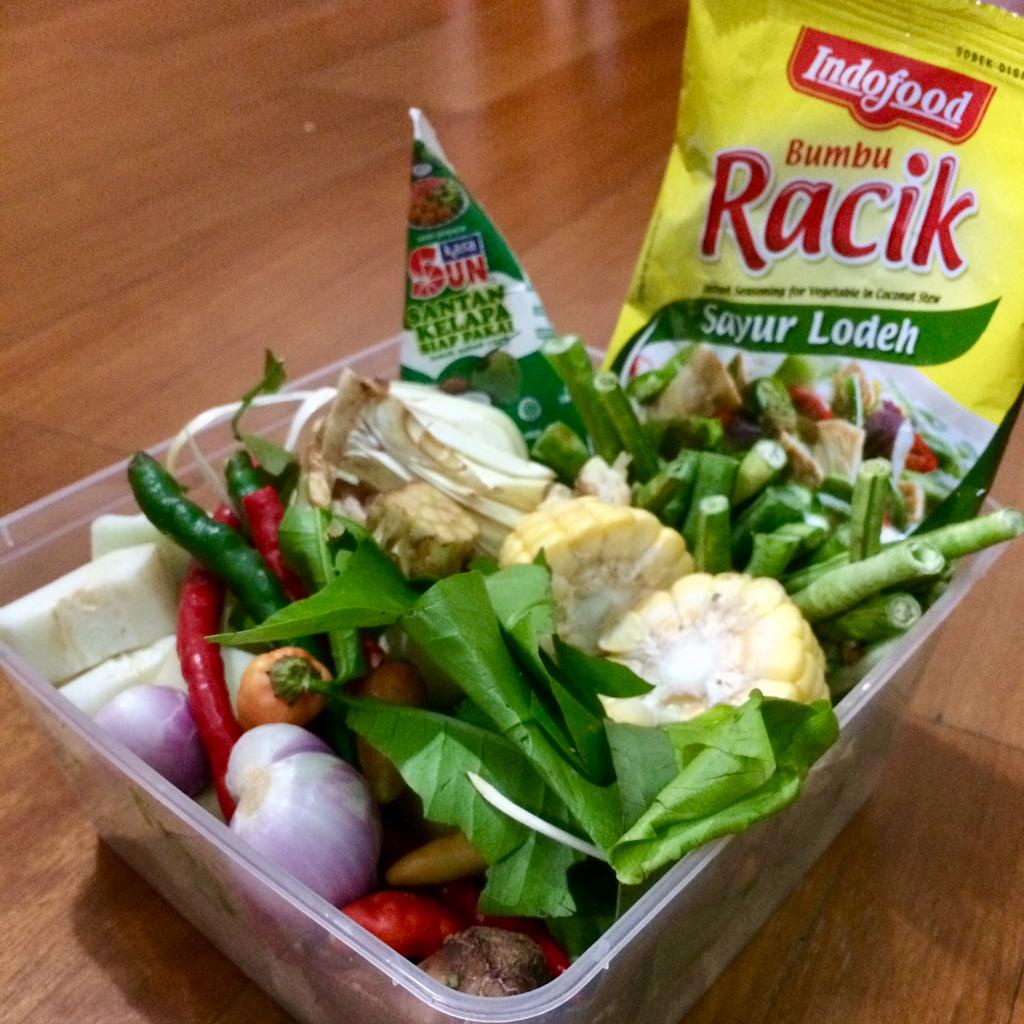

RB PAKET SAYUR LODEH SIAP MASAK DENGAN BUMBU DAN SANTAN CAIR Per PACK