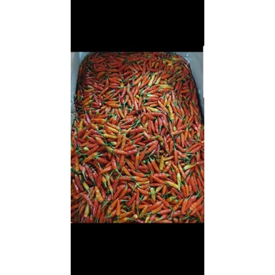 

caberawitdankeriting