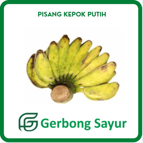 

Buah Pisang Kepok Putih 1 Sisir Segar