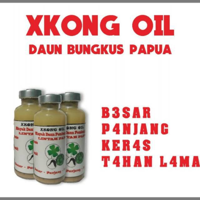 

Daun Bungkus Papua Lintah Bulus Besar