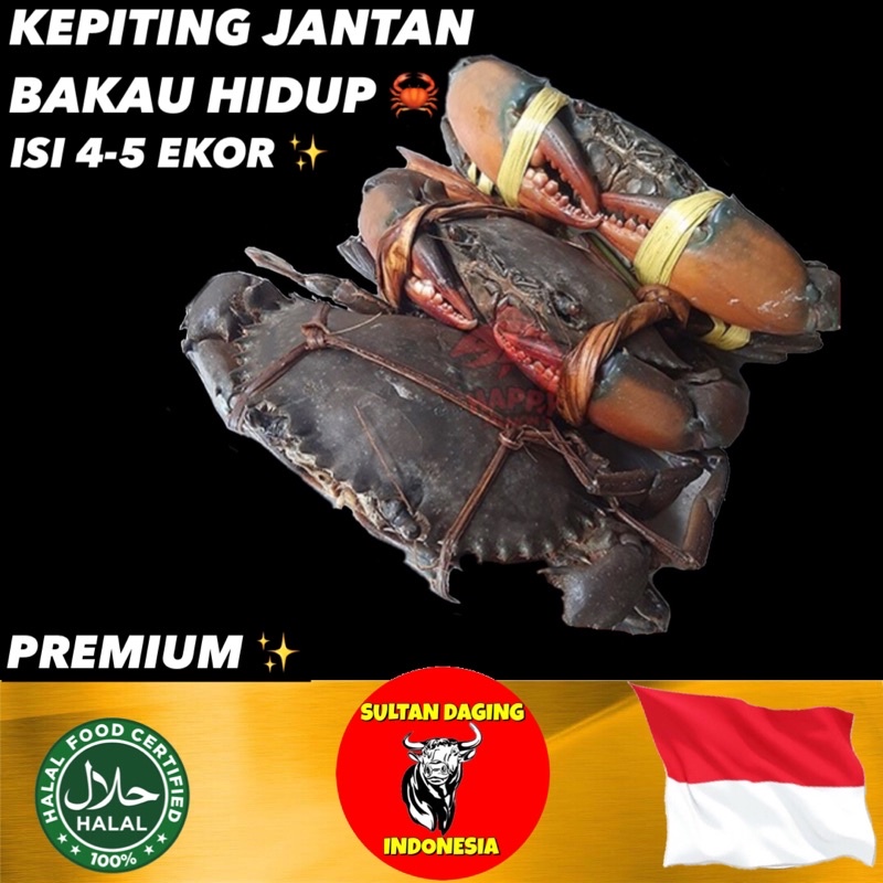 

KEPITING BAKAU PAPUA HIDUP 1 KG ISI 3-4 EKOR PREMIUM/ KEPITING JANTAN HIDUP/ KEPITING JANTAN 1KG/ KEPITING FRESH 1 KG/ KEPITING HIDUP PREMIUM/ KEPITING HIDUP PAPUA SUPER