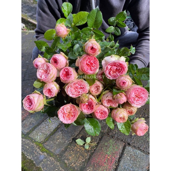 Mawar import charming piano / Carming piano