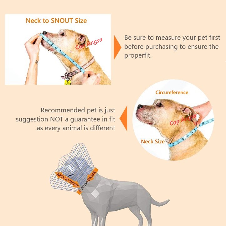 PET PROTECTION CONE COVER ELISABETH COLLAR CORONG PENUTUP LEHER 5 6 7 KONE SMALL PET COLAR DOG CAT
