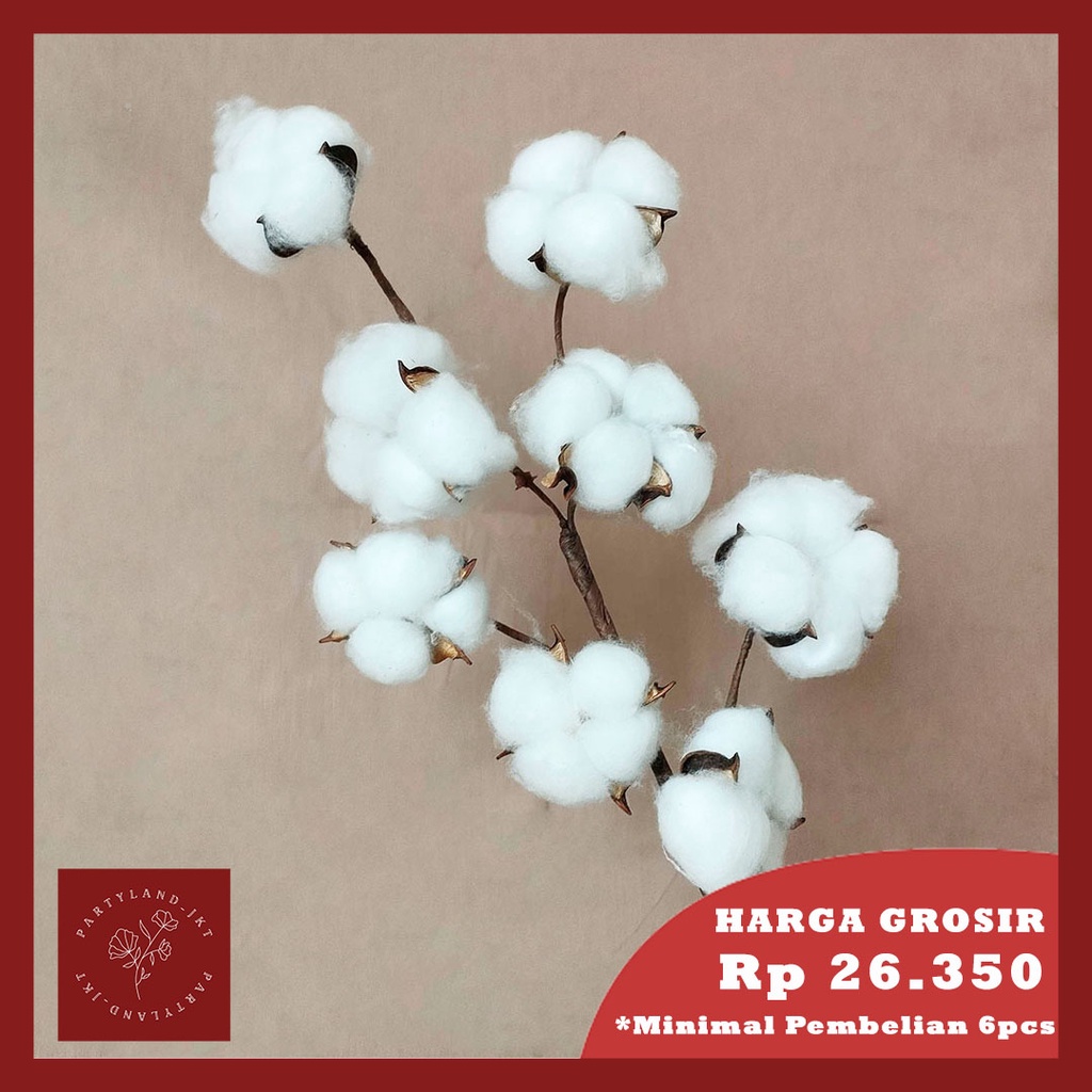 Artificial Cotton Flower 8 Flowers Bunga Kapas Cabang Palsu Hias Dekorasi