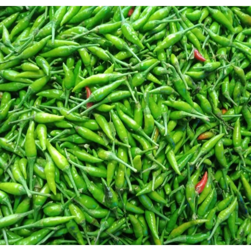 

cabe rawit hijau 250 gr
