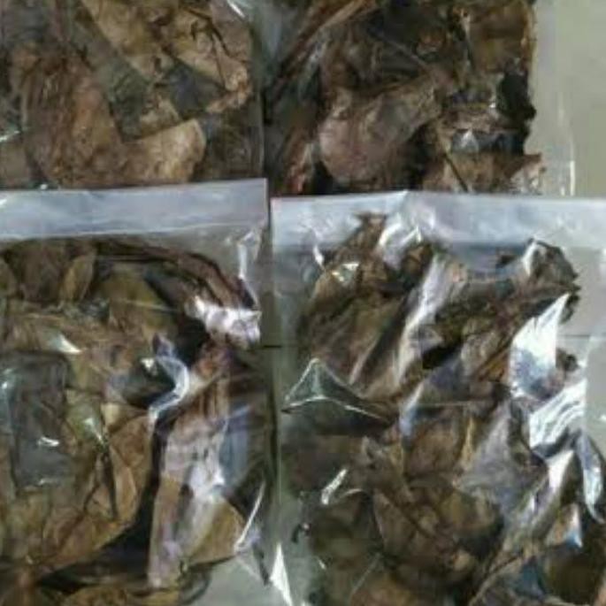 

☺_☻ Daun Ketapang 500gr Laut asli Pelabuhan Ratu