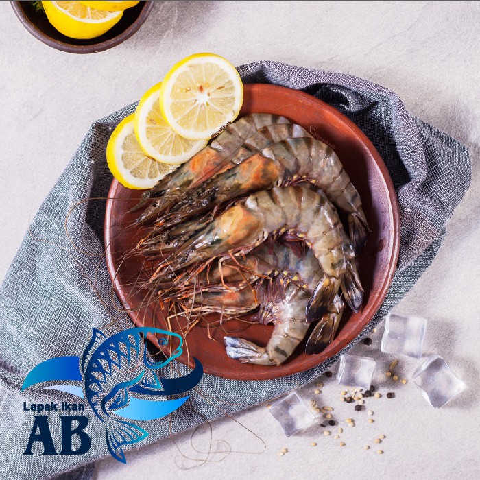 

UDANG TIGER FRESH FROZEN ALL SIZE / UDANG PANCET LAUT SEGAR