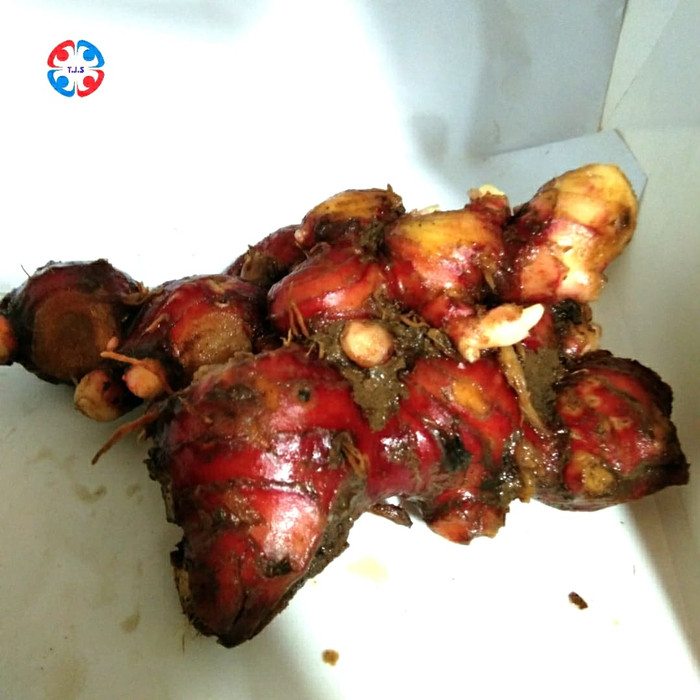 

jahe merah bersih 1 kg