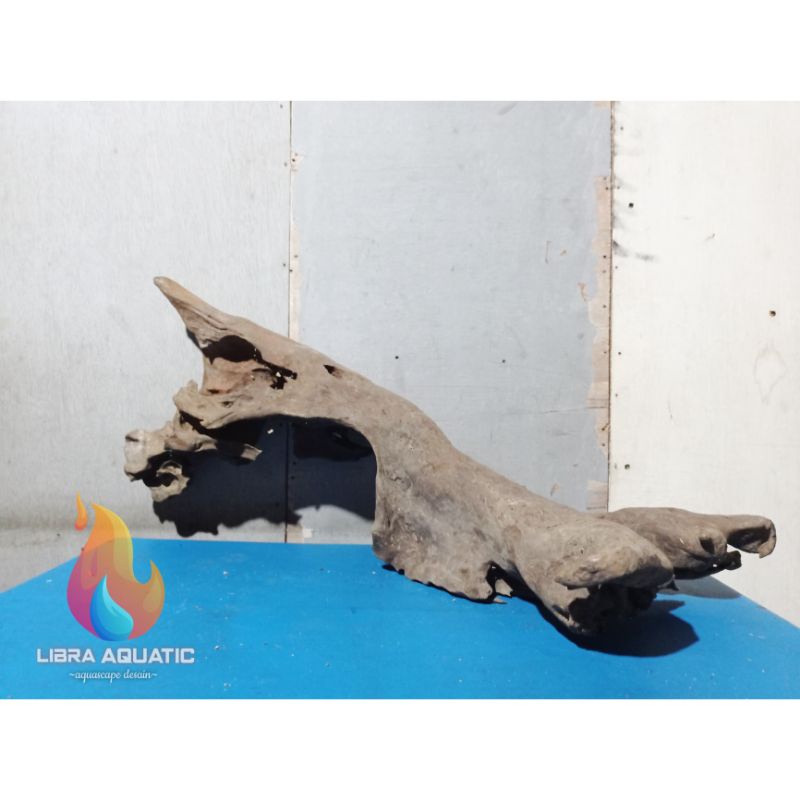 kayu  rentek aquascape size xl