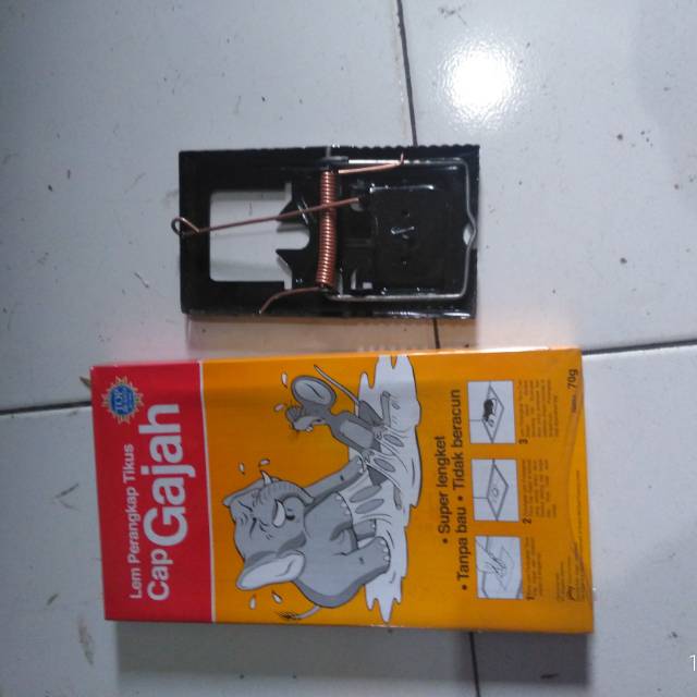 

Lem papan dan jepretan tikus