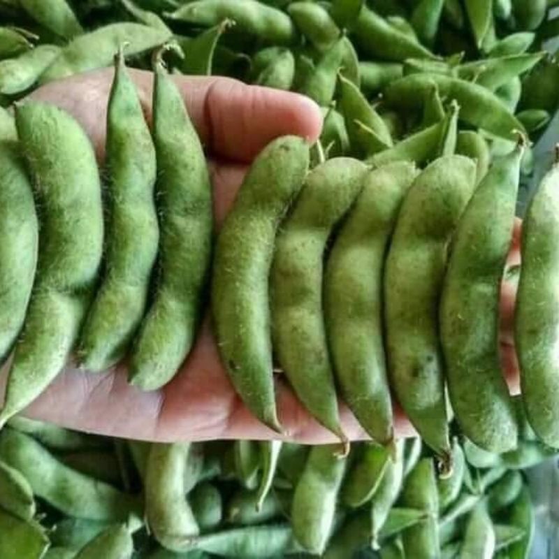 

EDAMAME ORGANIK SUPER