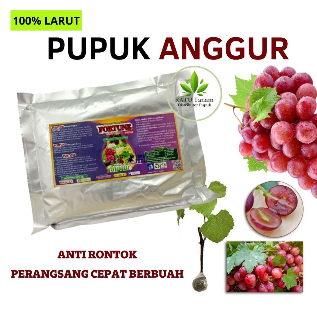 Pupuk Buah Tanaman Anggur Agar Cepat Berbuah, Pupuk Tanaman Anggur Agar Cepat Berbuah