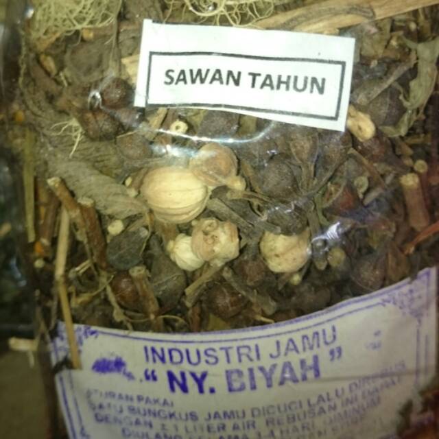 

JAMU SAWAN TAHUN /JAMU REBUSAN SAWAN TAHUN TERMURAH