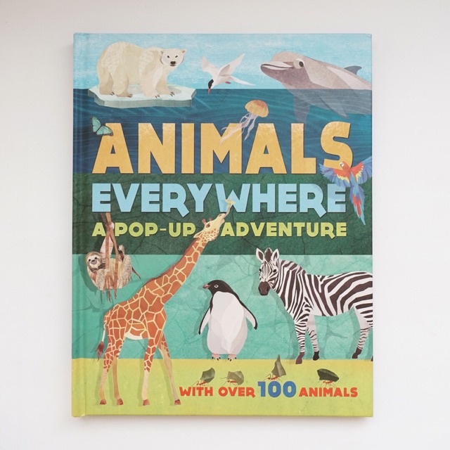 [ Pop Up Book ] Jual Buku Anak Pop Up - Animals Everywhere A Pop-up Adventure