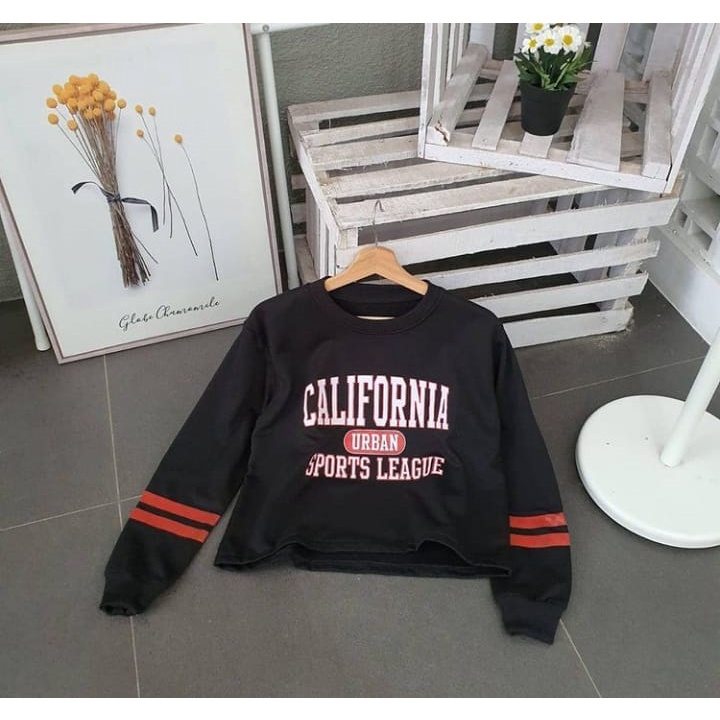 Sweater Wanita Termurah Berkualitas - California Urban Croope